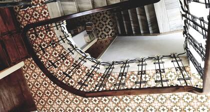 Ratones de Biblioteca - Hostel