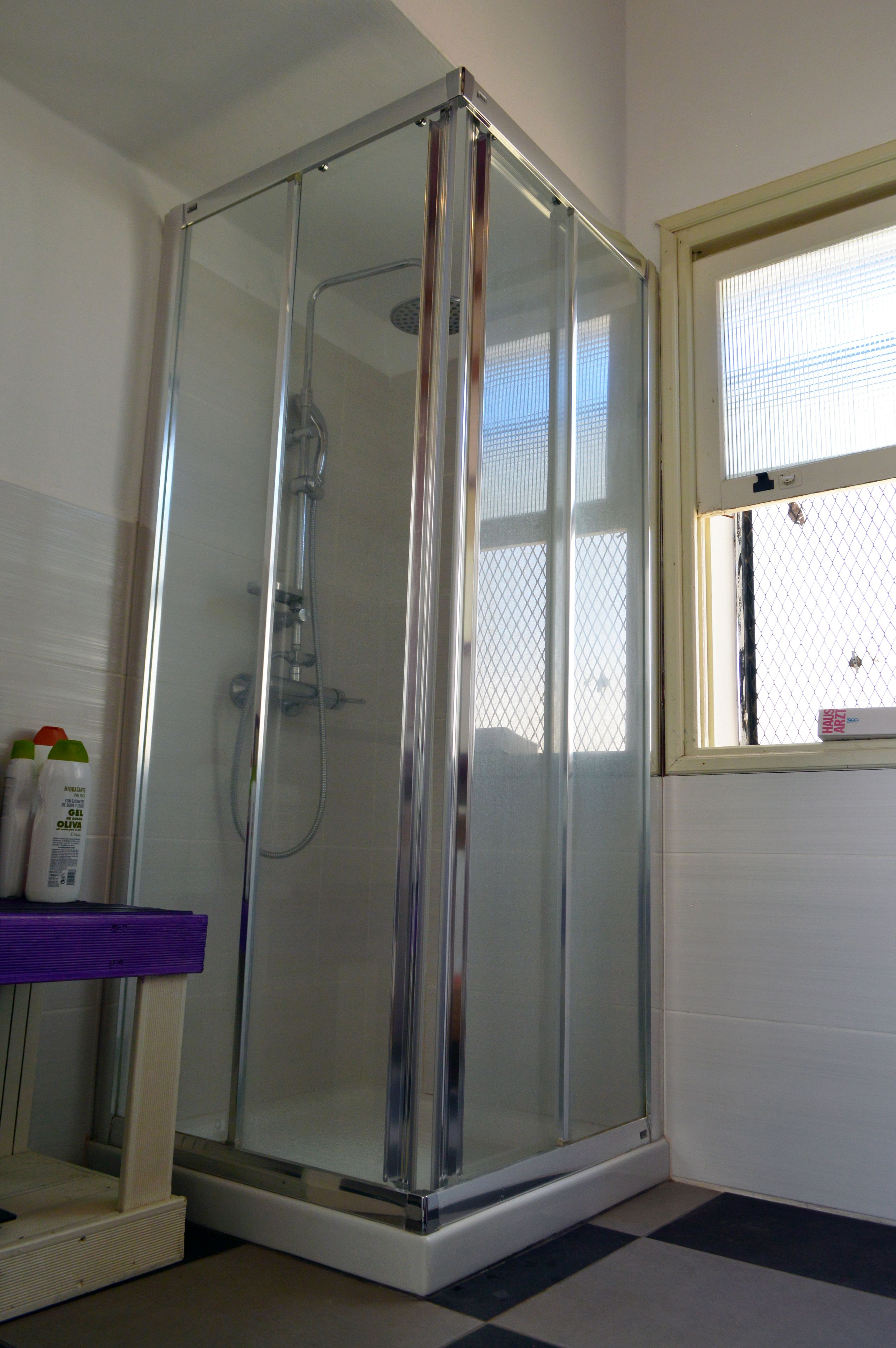 Foto - Ratones de Biblioteca