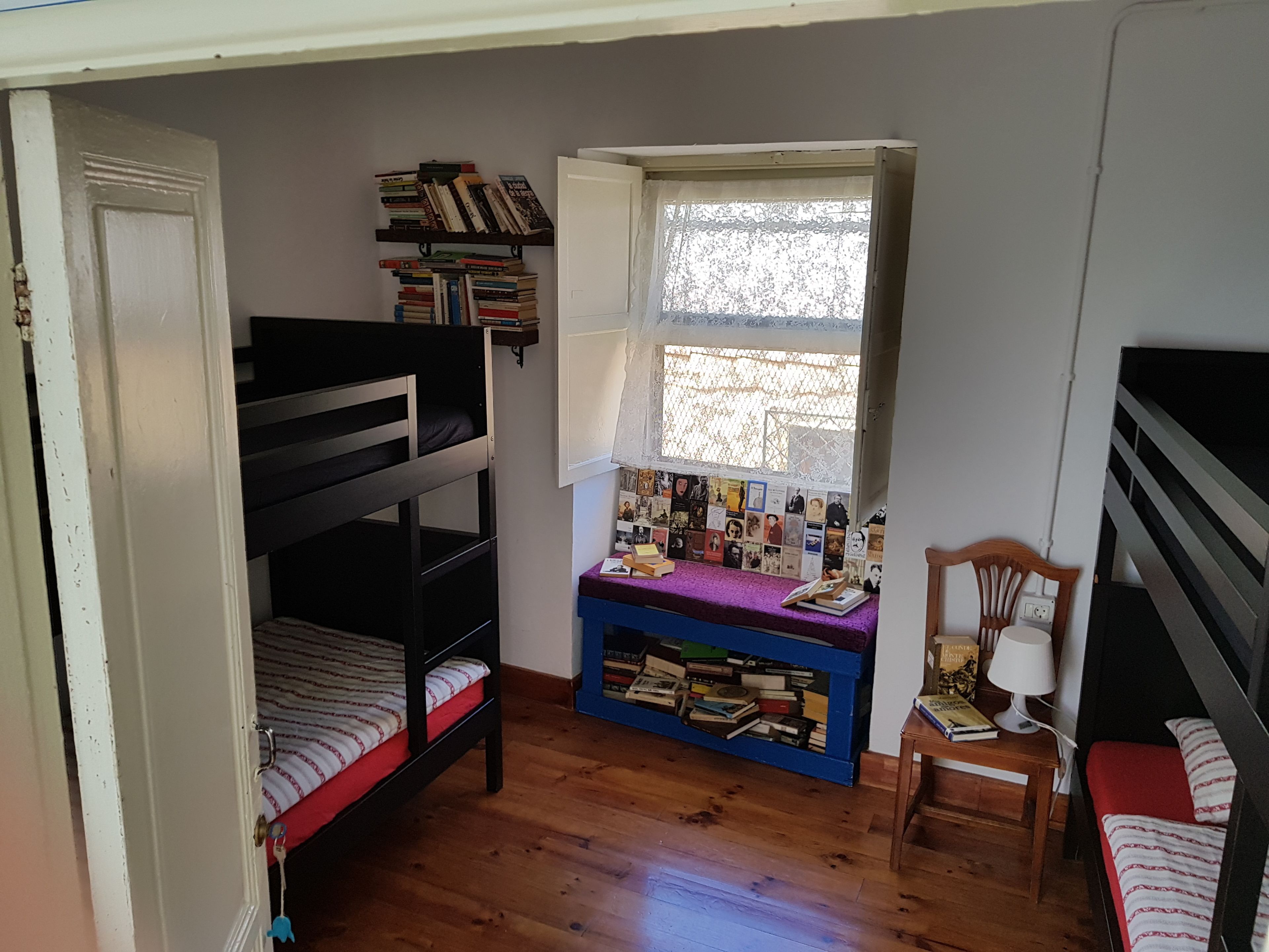 Foto - Ratones de Biblioteca