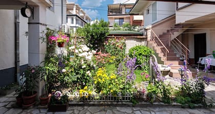 Bogdanovski Studios & Guest Rooms