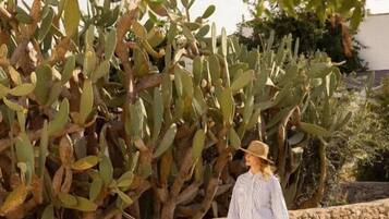 A person walking on a stone pathway with a cactus plant and a stone wall in the background.