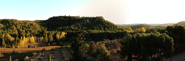 A mountainous landscape with dense forests and a clear sky.