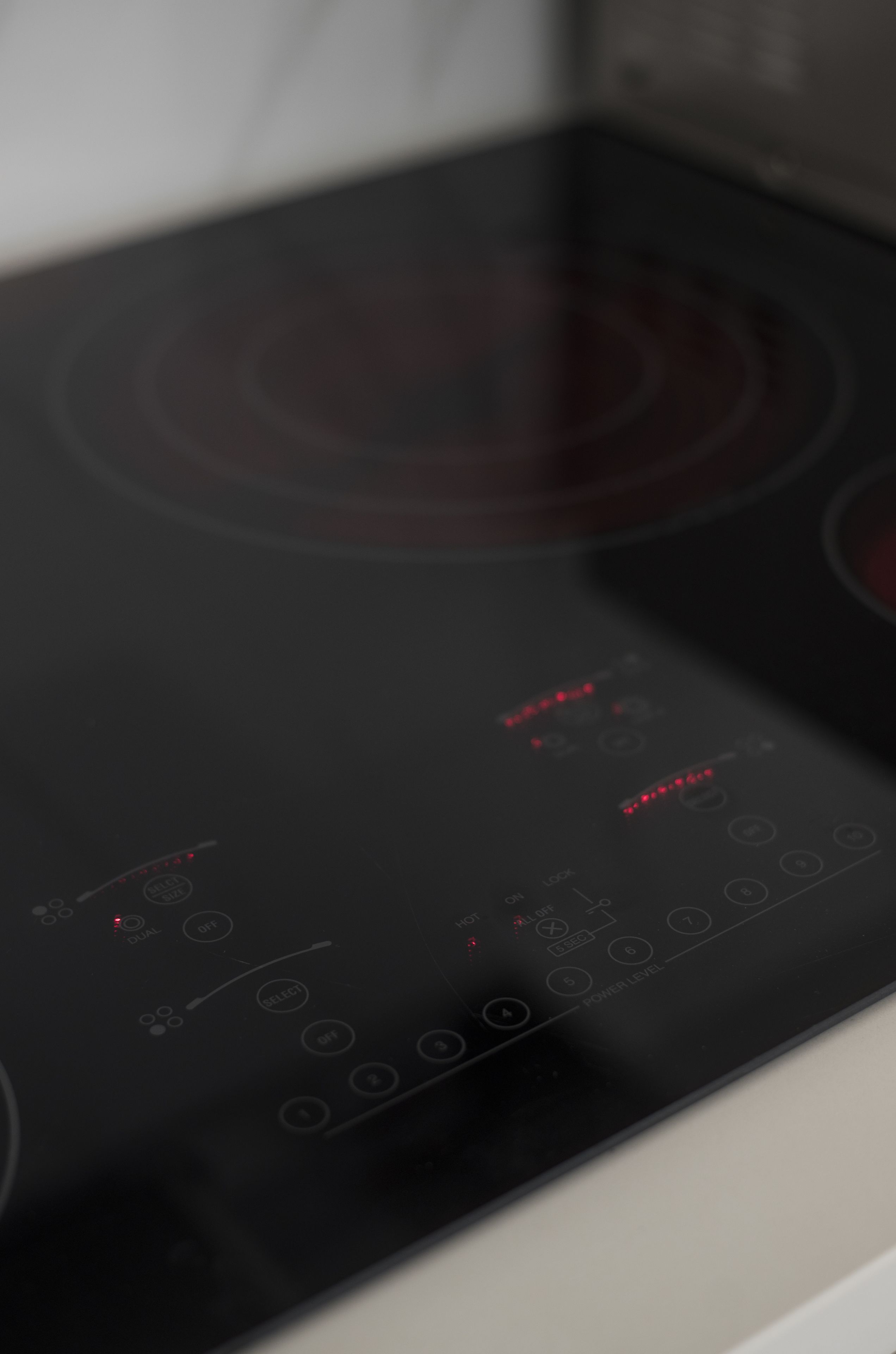 full-sized fridge, microwave, stovetop, dishwasher