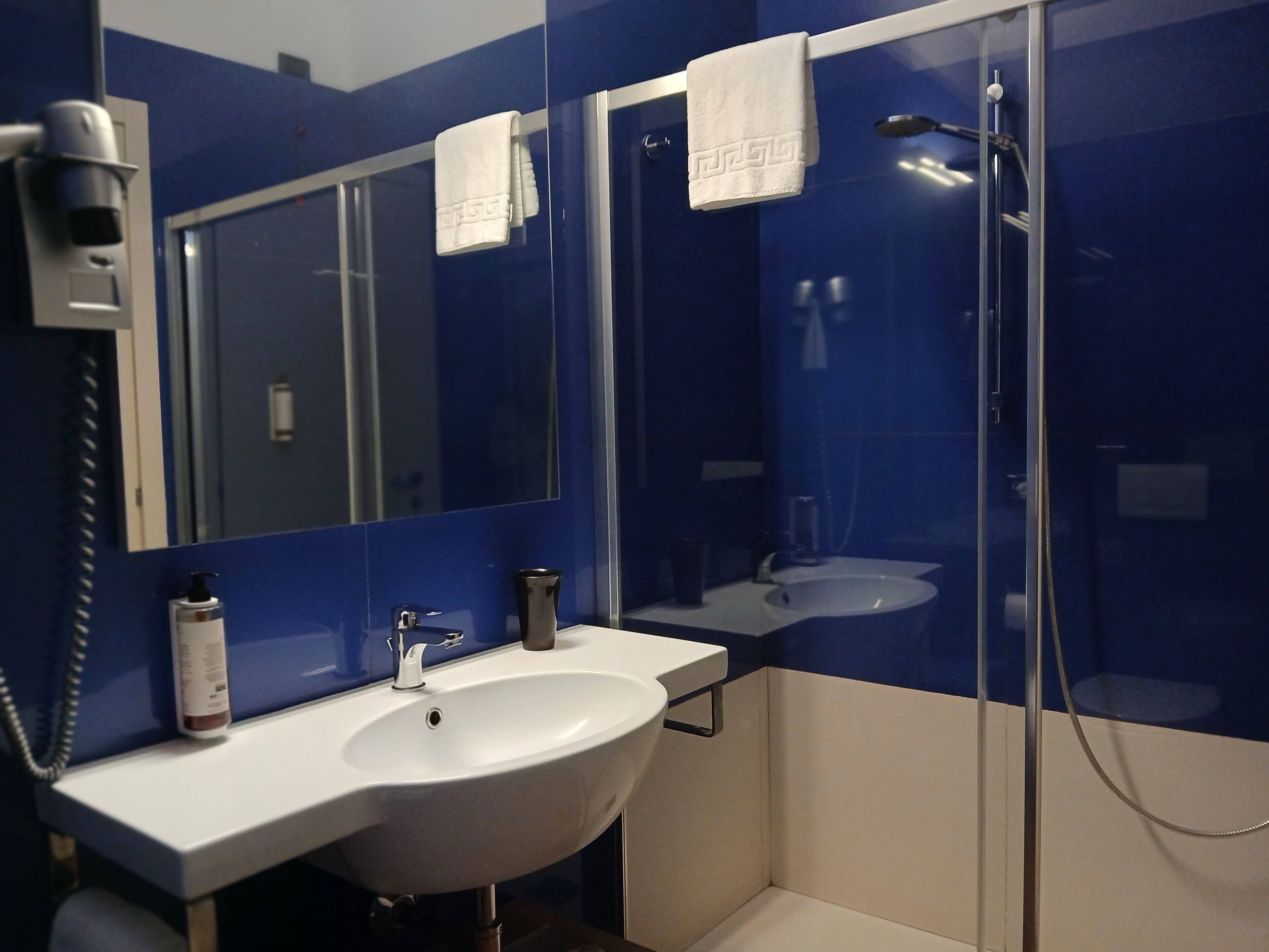 A bathroom with a white sink, a mirror, a handheld showerhead, and a towel rack.