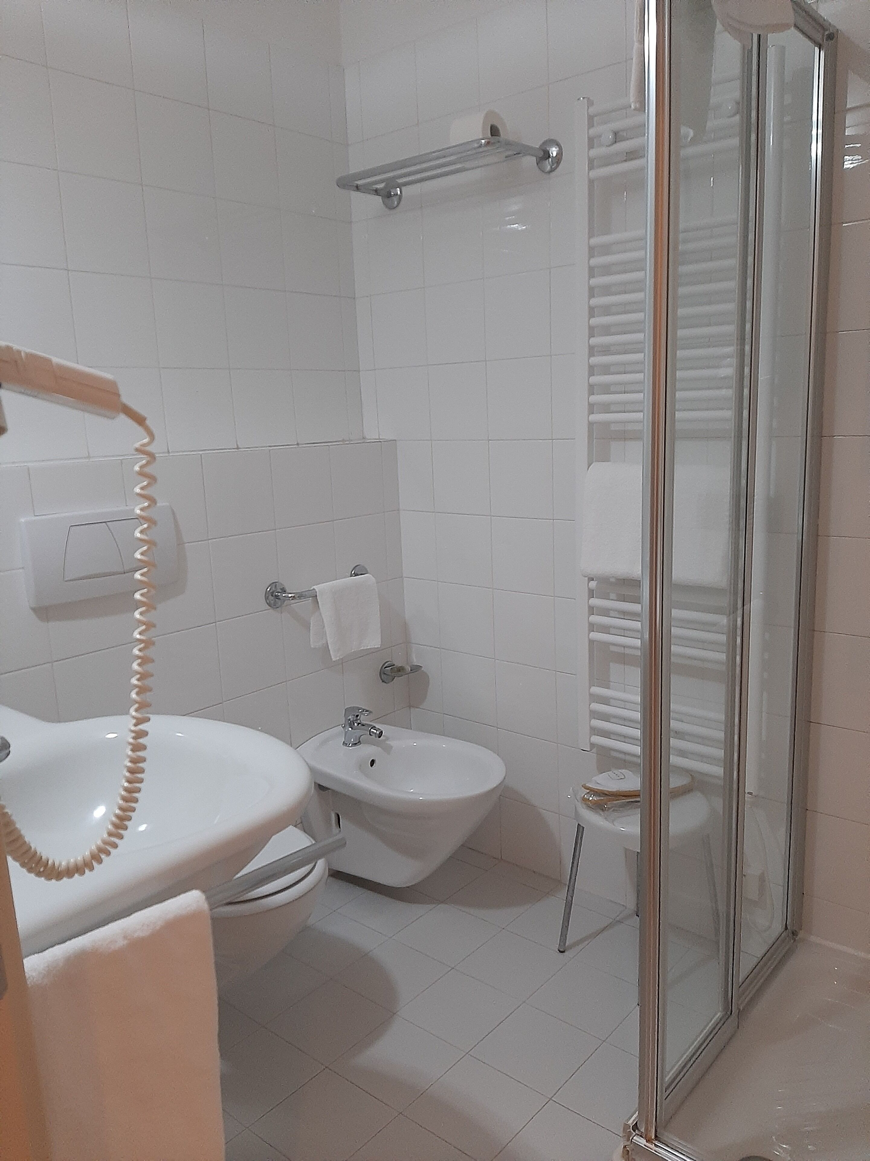 A bathroom with a toilet, bidet, and a glass shower enclosure.