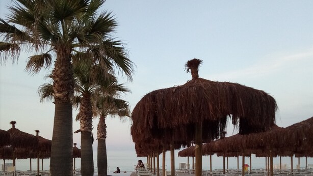 A beach with palm trees and thatched umbrellas, and rows of empty lounge chairs. - Hotel Chiaraluna (Civitanova Marche)
