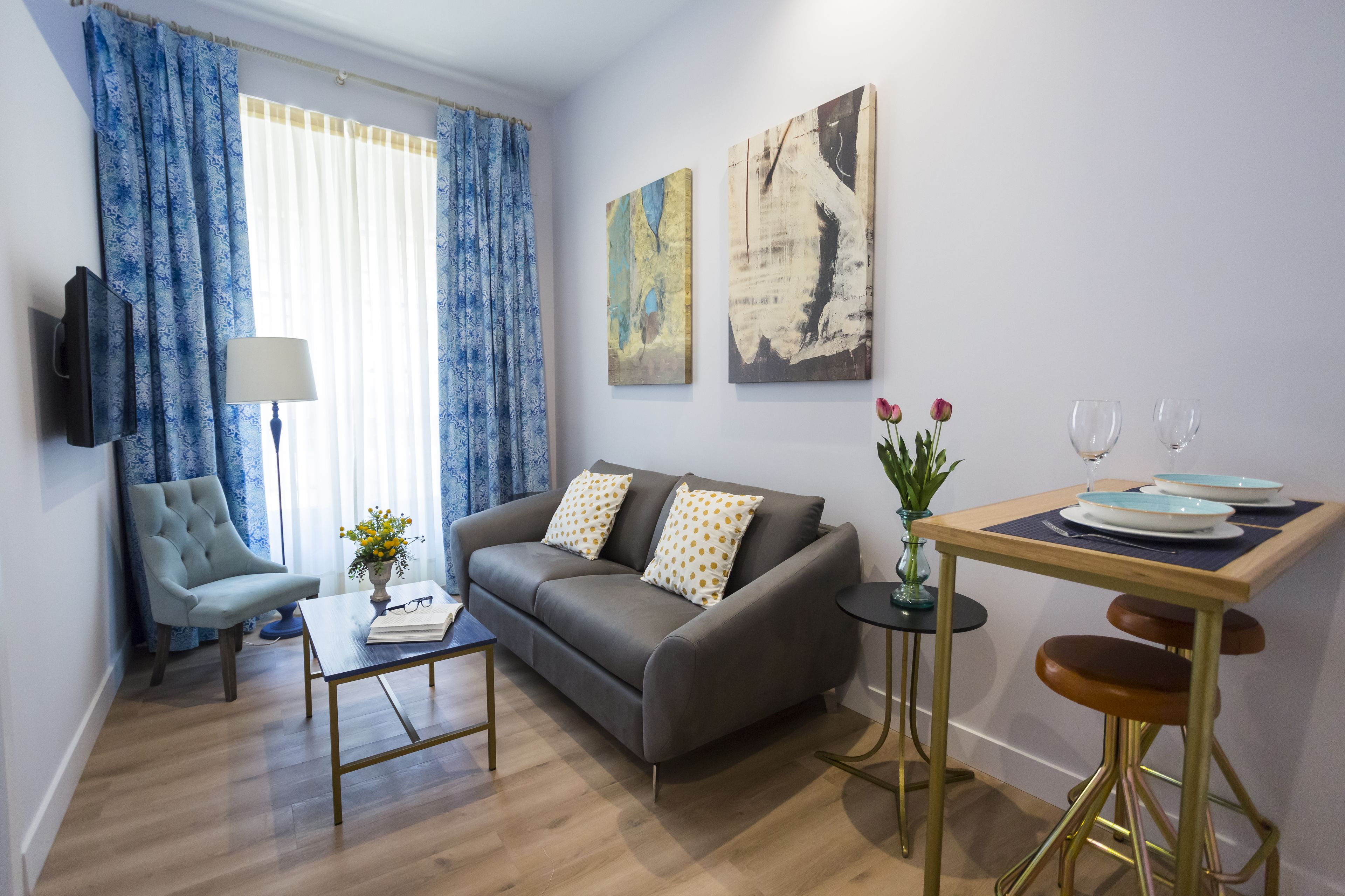 Studio | Salle de séjour | Télévision à écran plat