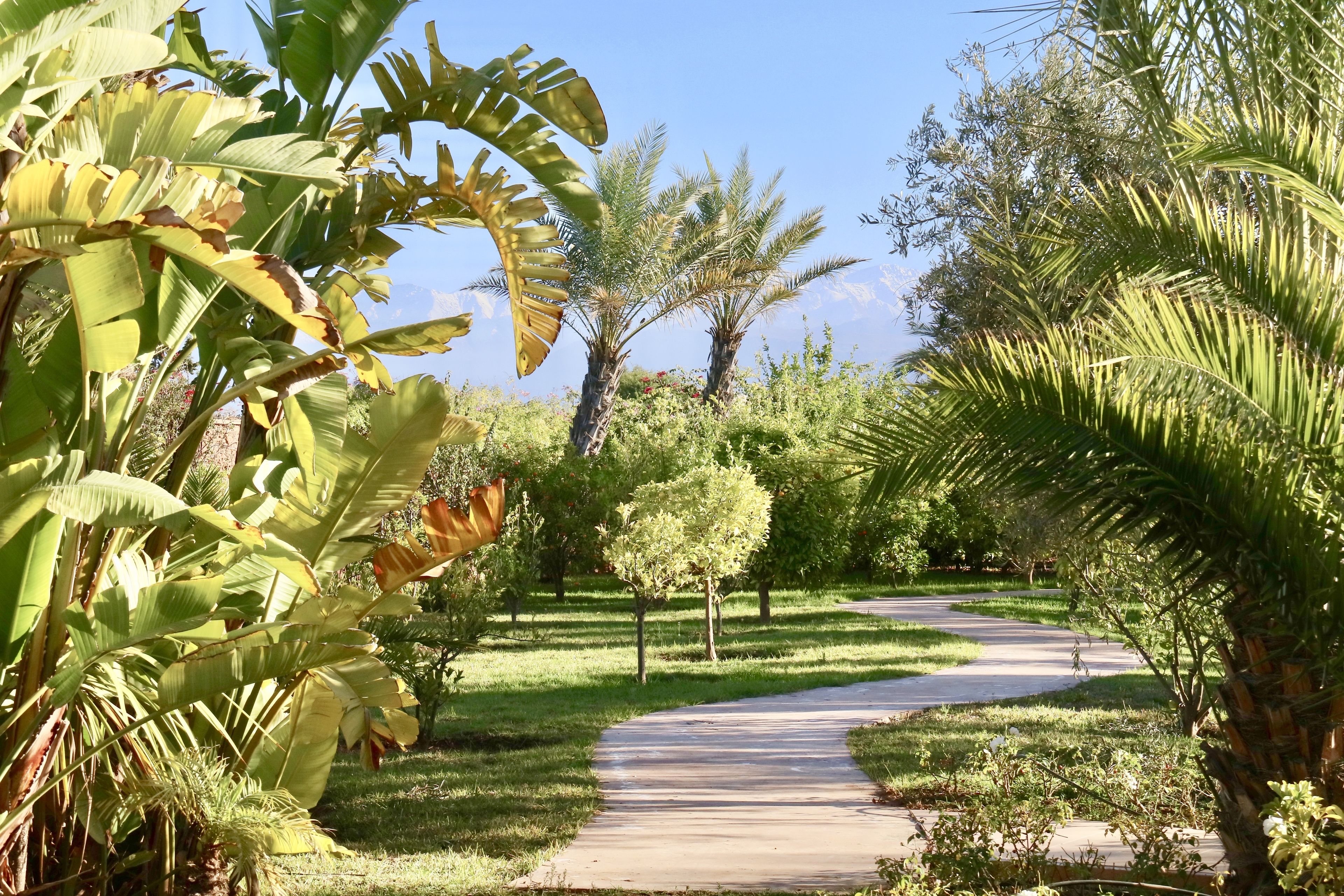 Foto - Marrakech Retreat