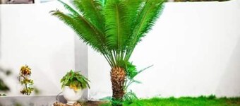 Résidence Soleil Levant