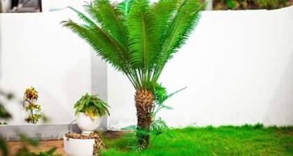 Résidence Soleil Levant