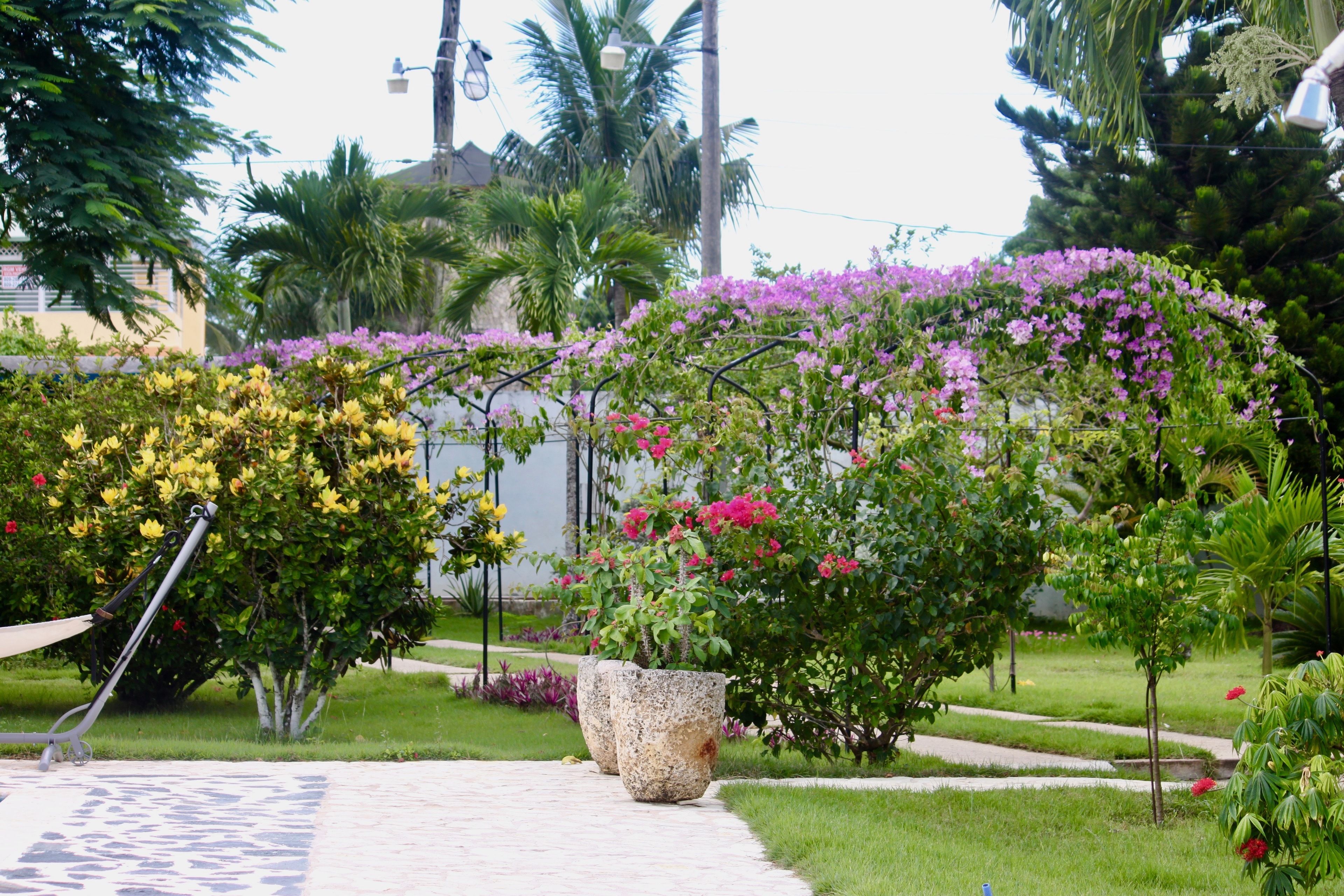 Kolam renang outdoor