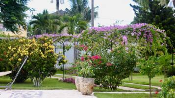 Kolam renang outdoor