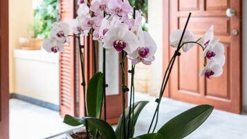 Una maceta de cerámica blanca con orquídeas sobre una mesa de madera.
