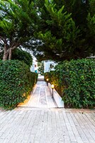 Un camino pavimentado bordeado por setos verdes y árboles, que conduce a la entrada de un edificio.