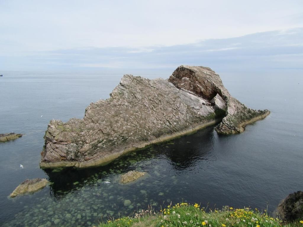 منوع