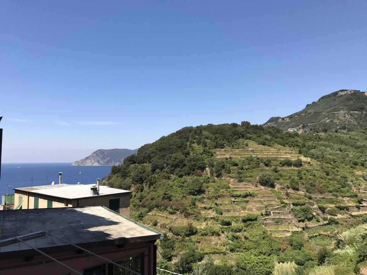 A hillside property with terraced fields, a building with a flat roof, and a view of the sea.