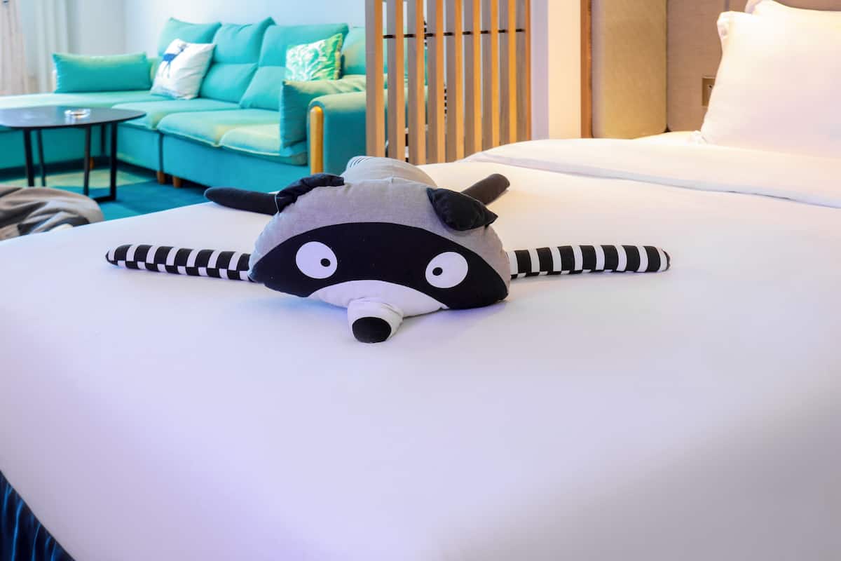 1 king 1 single standard kids theme | premium bedding, down duvets, pillow-top beds, in-room safe