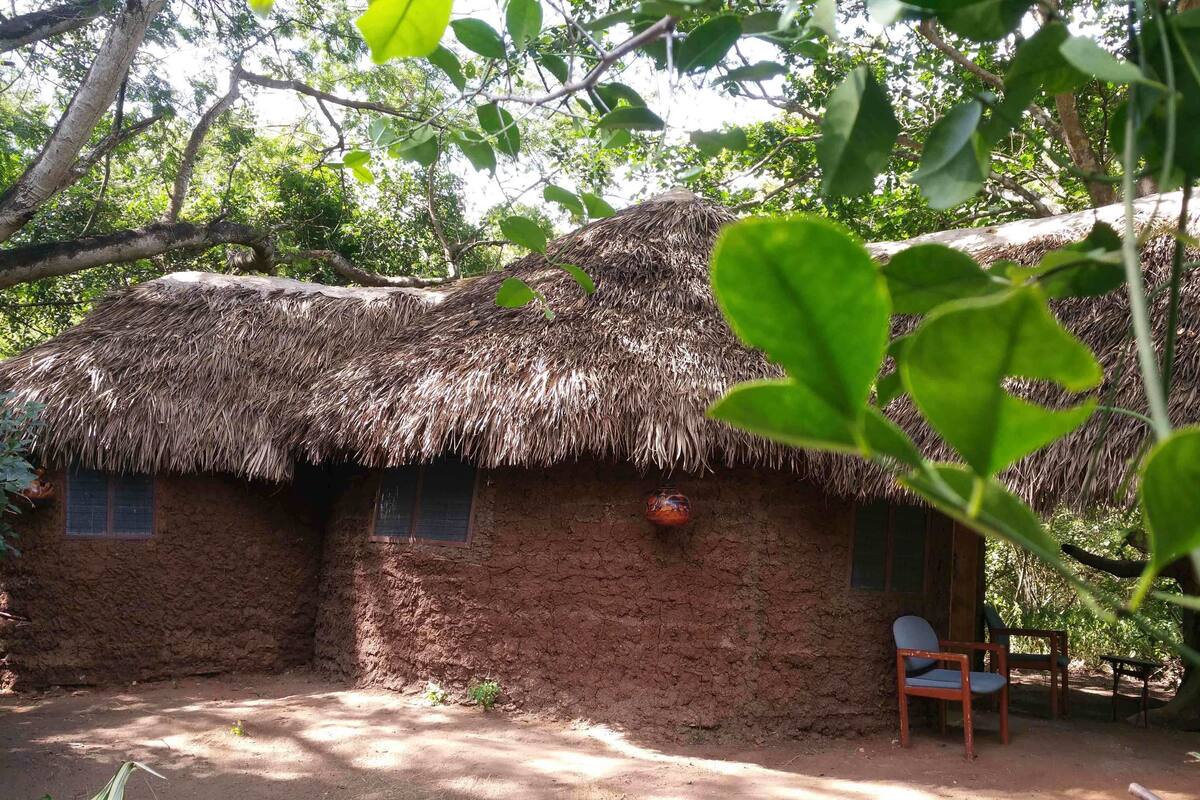 Una cabaña rústica con techo de paja, un pequeño ventanal y una silla afuera.