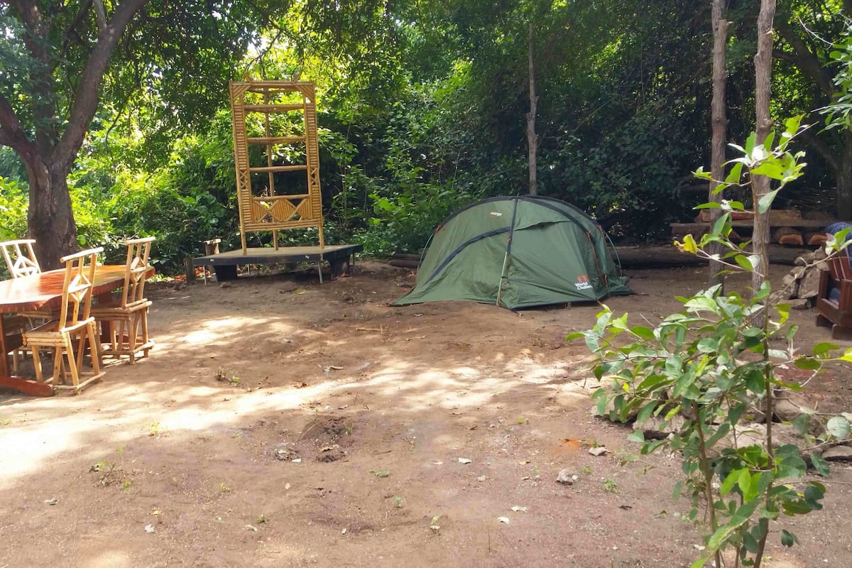 Un entorno rústico al aire libre con una mesa y sillas de madera, un escenario y una carpa verde.