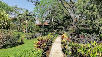 Khuôn viên nơi lưu trú