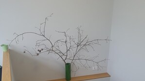 Un escalier en bois avec une rampe métallique, un vase vert orné d’une branche posé sur une étagère, et un mur blanc.