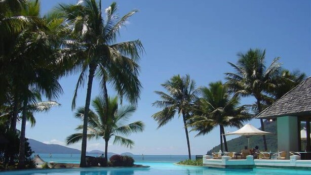 A pool area with palm trees and a lounge chair.
