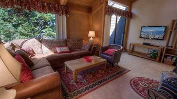 TV, fireplace, books
