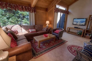 TV, fireplace, books