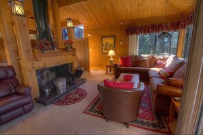 TV, fireplace, books