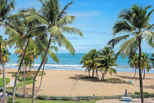 Inside The Wyndham Resort Casino & Spa / face de Rain Forest / Nouvelle Mise à jour