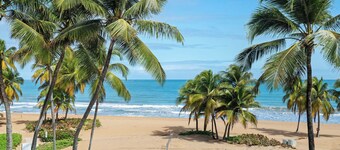 Inside The Wyndham Resort Casino & Spa/ Across From Rain Forest / New  & Updated