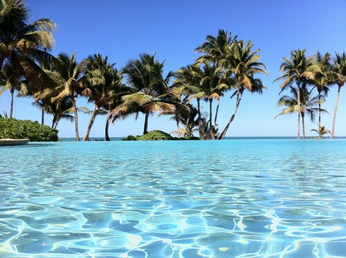 Inside The Wyndham Resort Casino & Spa/ Across From Rain Forest / New  & Updated