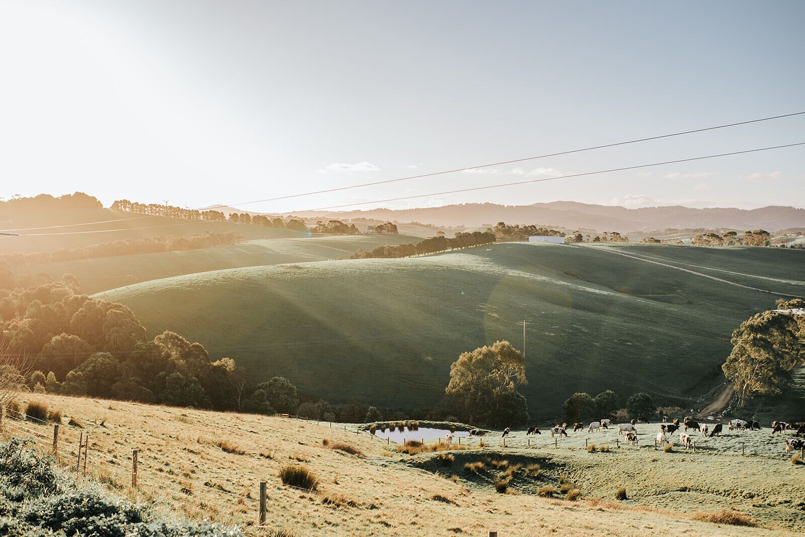 A rural landscape with rolling hills, a fenced field, and a small pond.
