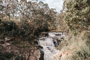 A natural landscape with a waterfall surrounded by dense eucalyptus trees. - 360o views incl. The Prom, Bass Strait and Strzelecki Ranges (Hazel Park)
