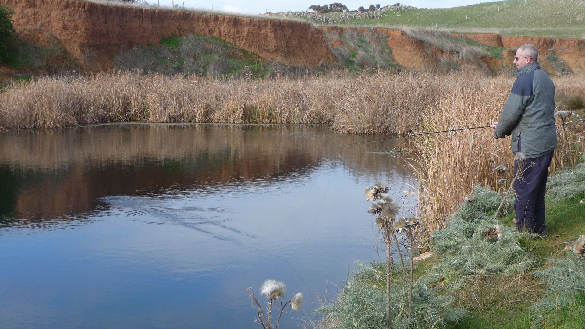 Country bakehouse Accommodation — image 15