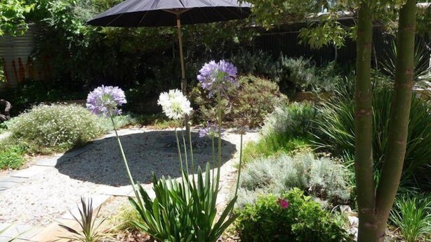 Ein Garten mit einer runden Stein-Terrasse, umgeben von verschiedenen Pflanzen und einem schwarzen Sonnenschirm.
