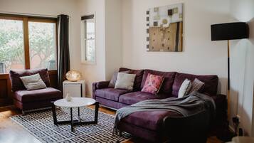 TV, Netflix, DVD player, books