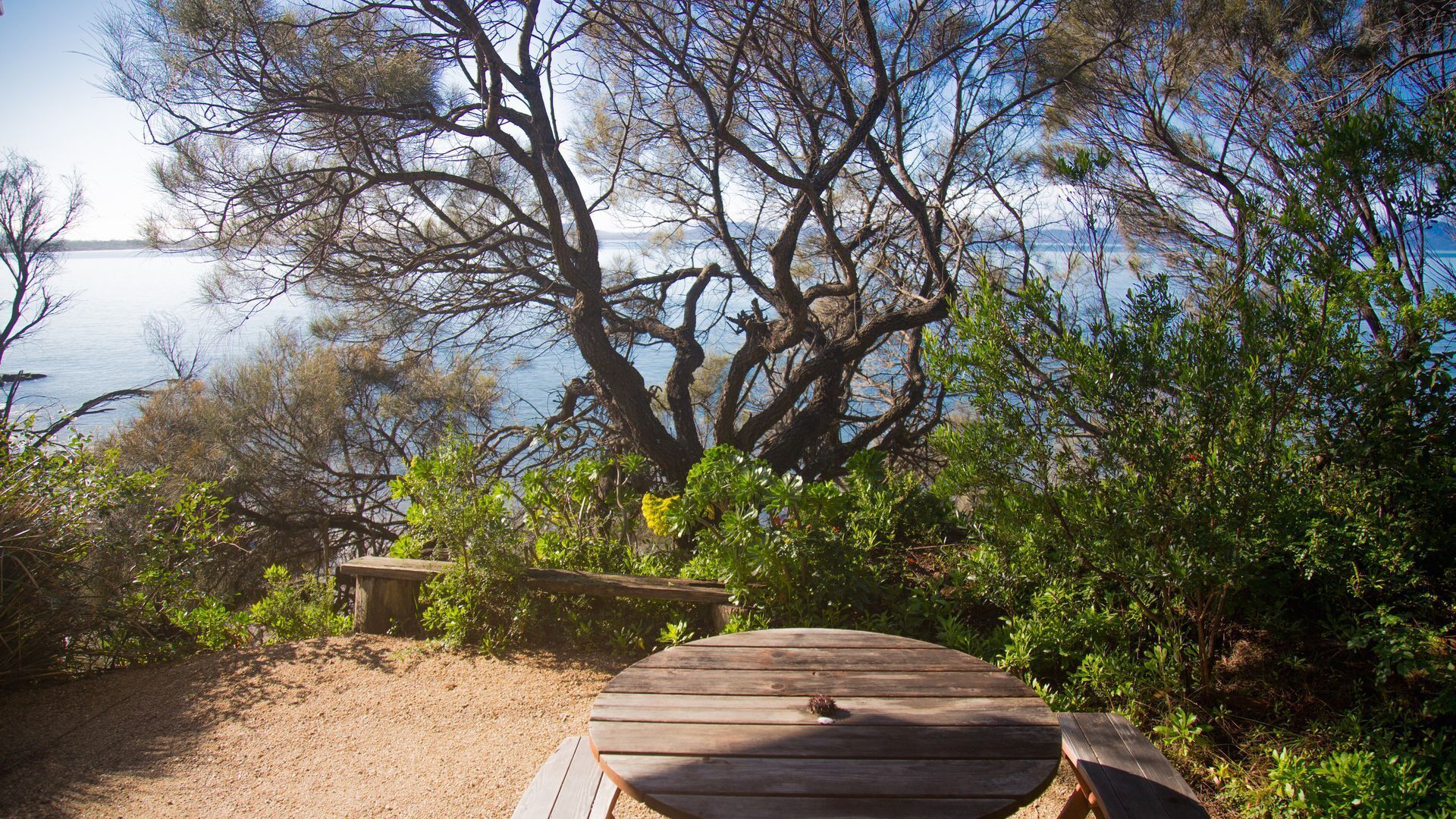 The Hideaway at Swansea - absolute beachfront — image 13