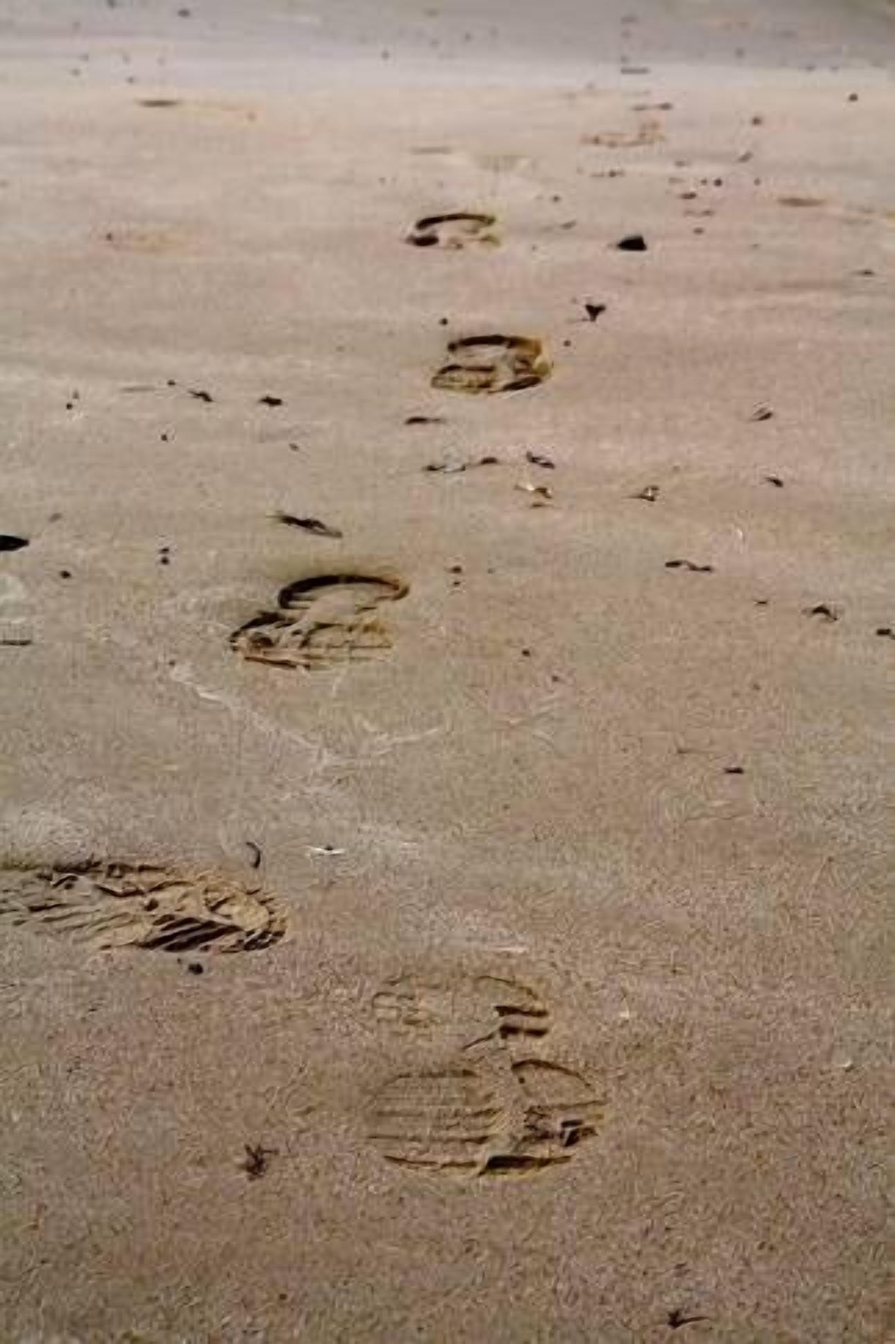 The Hideaway at Swansea - absolute beachfront — image 15