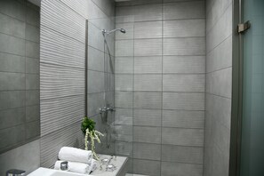 Regadera, amenidades de baño ecológicas, secadora de cabello, toallas 