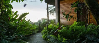 Lucero - Luxury Treehouses