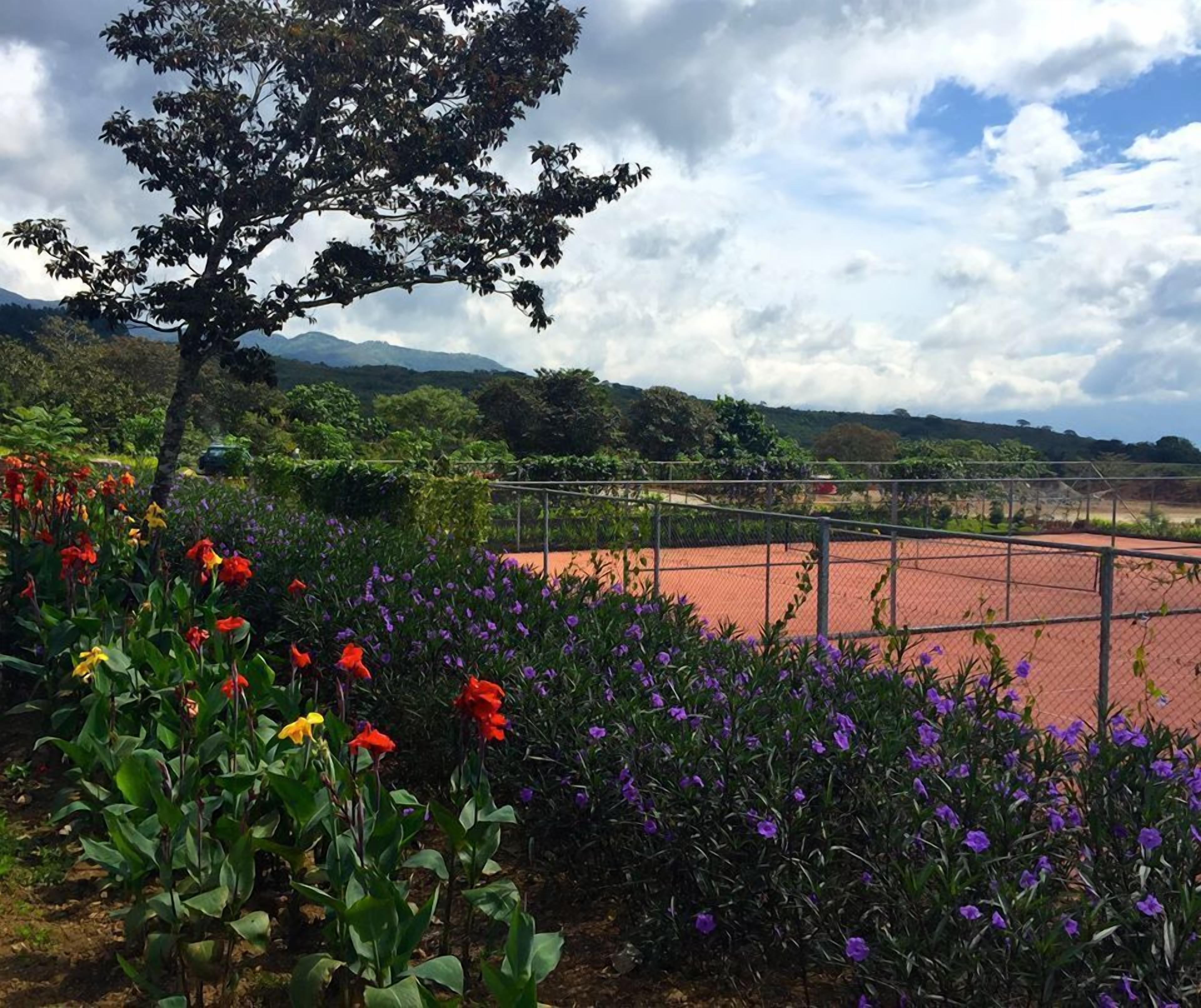 A tennis court surrounded by a fence, with a variety of colorful flowers in the foreground and a tree to the left.