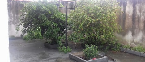 Parco della struttura