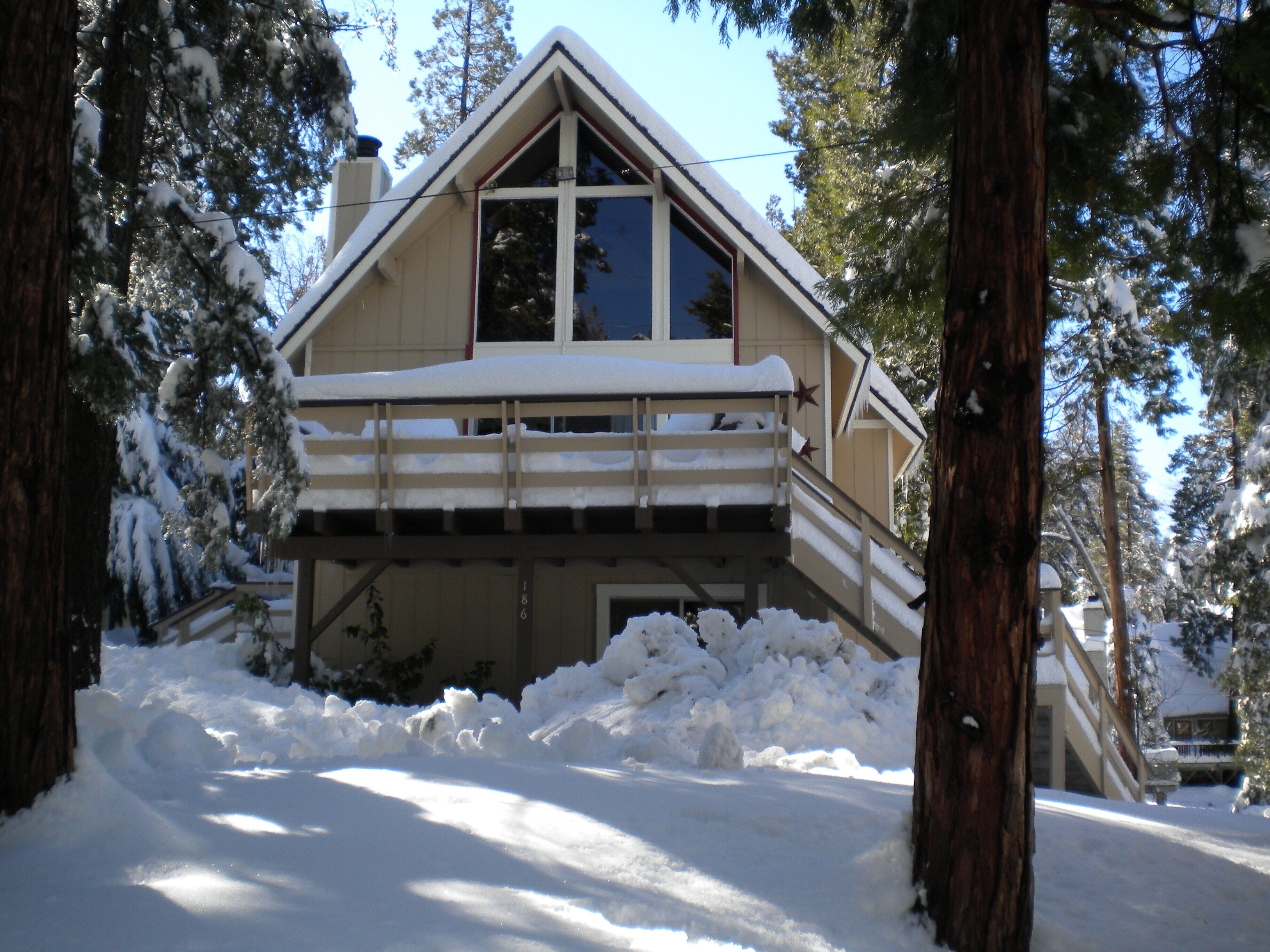 Photo 8 of 8
