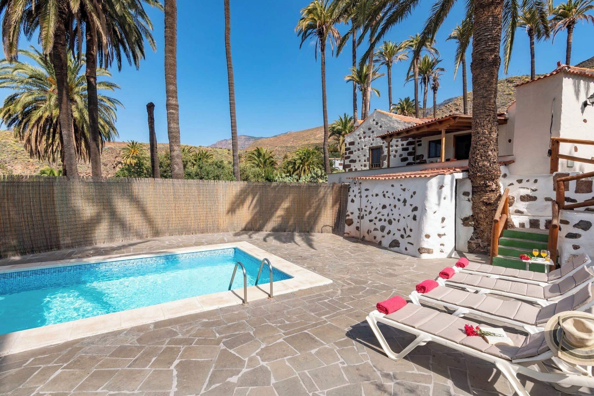 Un espace piscine aménagé avec des chaises longues, une piscine en pierre et des palmiers.