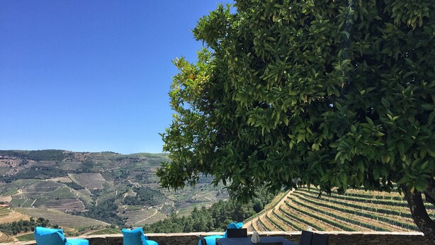 Una terraza con mobiliario exterior, una mesa y sillas, con vistas a un viñedo y un paisaje montañoso.
