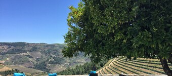 Hus med fantastisk natur i hjertet av Douro-dalen - Gratis Wifi