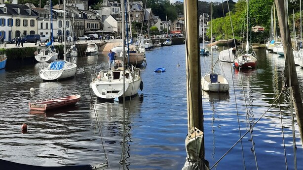 Un port de plaisance où sont amarrés différents types de bateaux, un ciel dégagé et des bâtiments en arrière-plan.