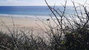 Une plage avec un ciel dégagé et une mer calme.