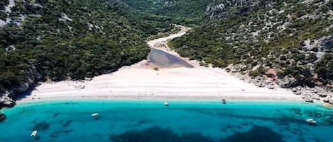 Una spiaggia nelle vicinanze